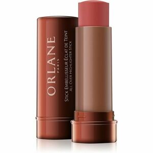 Orlane Make Up krémová tvářenka v tyčince odstín 01 10 g obraz