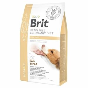BRIT Veterinary diet grain free hepatic granule pro psy, Hmotnost balení: 2 kg obraz