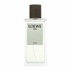 Loewe 001 Man parfémovaná voda pro muže 100 ml obraz