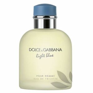 Dolce & Gabbana Light Blue Pour Homme Toaletní voda 125ml obraz