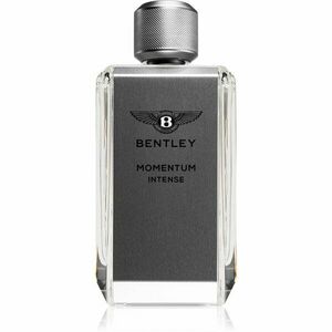 Bentley Momentum Intense parfémovaná voda pro muže 100 ml obraz