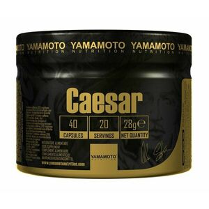 Caesar (Super kombinace 3 adaptogenů) - Yamamoto 40 kaps. obraz