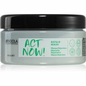 Indola Act Now! Repair hloubkově regenerační maska na vlasy 200 ml obraz