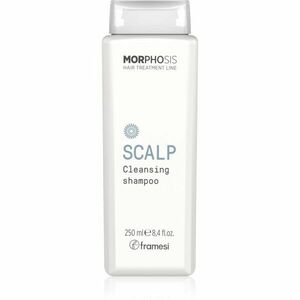 Framesi Morphosis Scalp hloubkově čisticí šampon 250 ml obraz