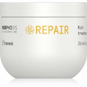 Framesi Morphosis Repair regenerační maska na vlasy pro poškozené vlasy 250 ml obraz