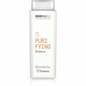 Framesi Morphosis Purifying čisticí šampon proti lupům 250 ml obraz