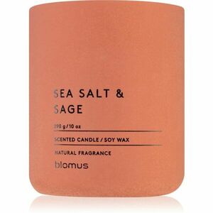 Blomus Fraga Sea Salt & Sag vonná svíčka 290 g obraz