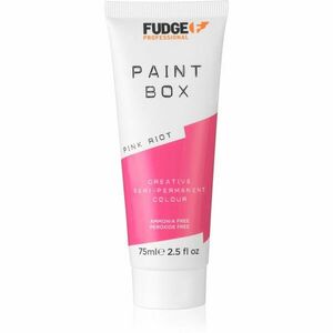 Fudge Paintbox semi-permanentní barva na vlasy na vlasy odstín Pink Riot 75 ml obraz
