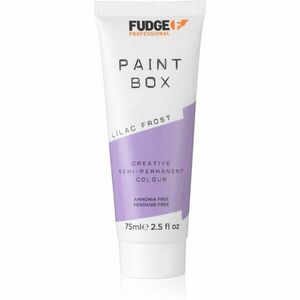 Fudge Paintbox semi-permanentní barva na vlasy na vlasy odstín Lilac Frost 75 ml obraz