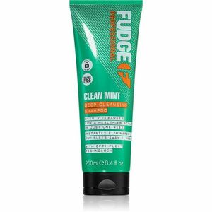 Fudge Clean Mint Shampoo šampon na mastné vlasy 250 ml obraz