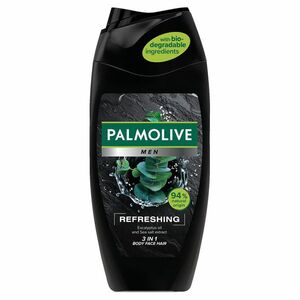 PALMOLIVE For Men Refreshing sprchový gel 3v1 pro muže 250 ml obraz