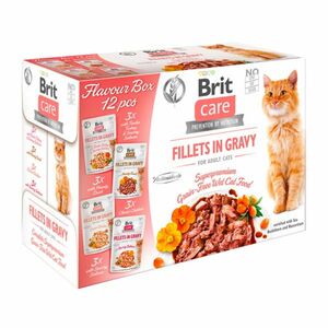BRIT Care Fillets in Gravy Flavour kapsičky pro kočky 12 x 85 g obraz