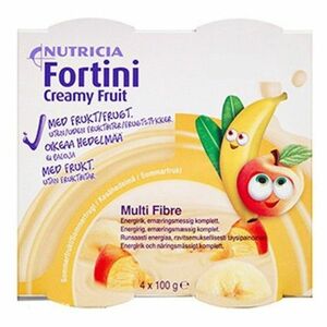 FORTINI Creamy fruit multi fibre letní ovoce 4 x 100g obraz