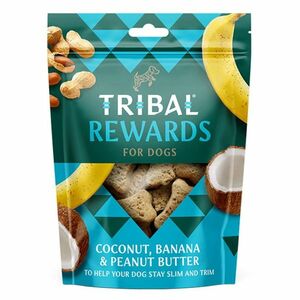 TRIBAL Rewards Coconut & Banana & Peanut butter pamlsek pro psy 125 g obraz