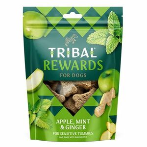 TRIBAL Rewards Apple & Mint & Ginger pamlsek pro psy 125 g obraz