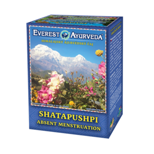 EVEREST AYURVEDA Shatapushpi při absenci menstruace sypaný čaj 100 g obraz