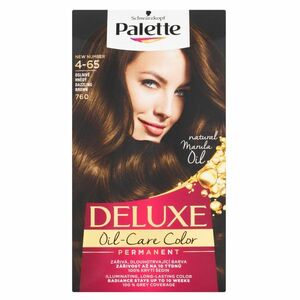PALETTE Deluxe Barva na vlasy 4-65 (760) Oslnivě hnědý obraz