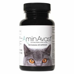 AMINAVAST Cat pro správnou funkci ledvin u koček 60 kapslí obraz
