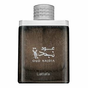 Lattafa Oud Najdia parfémovaná voda pro muže 100 ml obraz