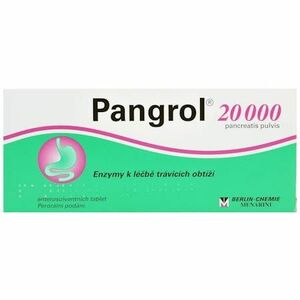 Pangrol 20000 20 tablet obraz