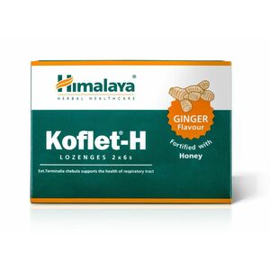 Himalaya Herbals Koflet-H Ginger pastilky s medem 12 ks obraz