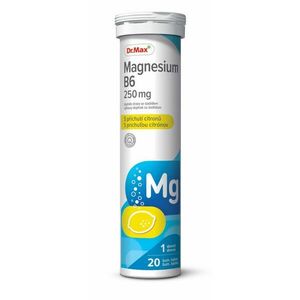 Dr. Max Magnesium B6 citron 250 mg 20 šumivých tablet obraz