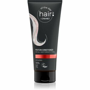 OnlyBio Hair Of The Day proteinový kondicionér pro všechny typy vlasů 200 ml obraz
