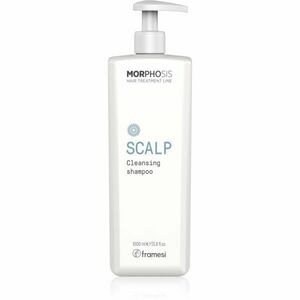 Framesi Morphosis Scalp hloubkově čisticí šampon 1000 ml obraz