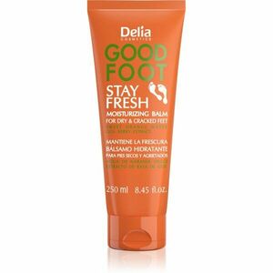 Delia Cosmetics Good Foot Stay Fresh hydratační balzám na nohy 250 ml obraz