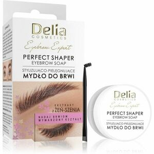Delia Cosmetics Eyebrow Expert Perfect Shaper mýdlo na obočí 10 ml obraz