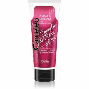 Delia Cosmetics Cameleo Smooth & Shine 60 sec krém na vlasy pro lesk a hebkost vlasů 250 ml obraz