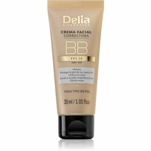 Delia Cosmetics BB tónovací krém na obličej SPF 30 odstín Light 30 ml obraz
