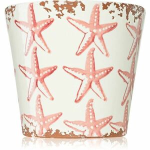 Wax Design Starfish Seabed vonná svíčka 14x12, 5 cm obraz