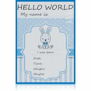 KidPro Milestone Cards Bunny For a Boy milníkové kartičky obraz