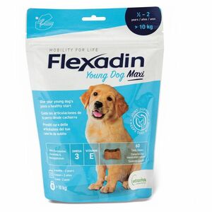 FLEXADIN Young Dog Maxi 60 žvýkacích tablet obraz