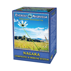 EVEREST AYURVEDA Nagara lymfatický systém a imunita sypaný čaj 100 g obraz