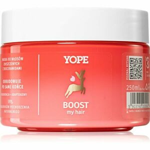 Yope BOOST my hair obnovující maska pro poškozené vlasy 250 ml obraz