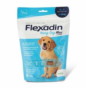 Flexadin Young Dog Maxi 60 tablet obraz