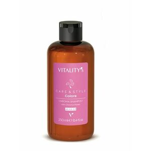 Vitality’s Care & Style Colore šampon 250 ml obraz