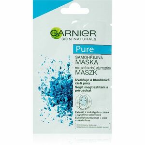 Garnier Pure pleťová maska pro problematickou pleť, akné 2x6 ml obraz