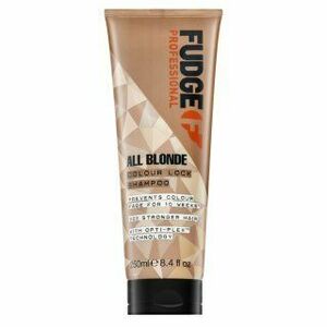 Fudge Professional All Blonde Colour Lock Shampoo ochranný šampon pro barvené vlasy 250 ml obraz