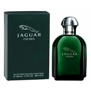 Jaguar For Men - EDT 100 ml obraz