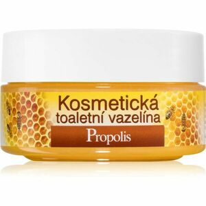 Bione Cosmetics Honey + Q10 kosmetická vazelína 155 ml obraz