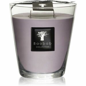 Baobab Collection All Seasons White Rhino vonná svíčka 16 cm obraz
