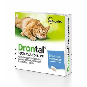 Drontal pro kočky 2 tablety obraz