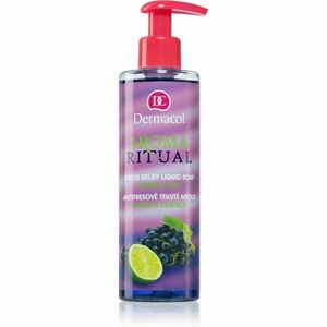 Dermacol Aroma Ritual Grape & Lime antistresové tekuté mýdlo 250 ml obraz