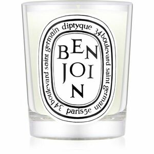 Diptyque Benjoin vonná svíčka 190 g obraz