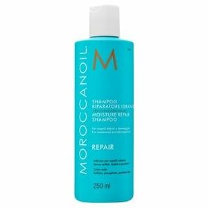 Moroccanoil Repair Moisture Repair Shampoo šampon pro suché a poškozené vlasy 250 ml obraz