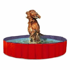 KARLIE FLAMINGO Skládací bazén pro psy modro-červený 120x30 cm obraz