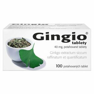 GINGIO 40 mg 100 potahovaných tablet obraz